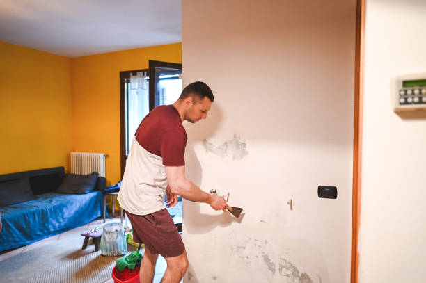 Best Residential Mold Removal  in Salem, IL